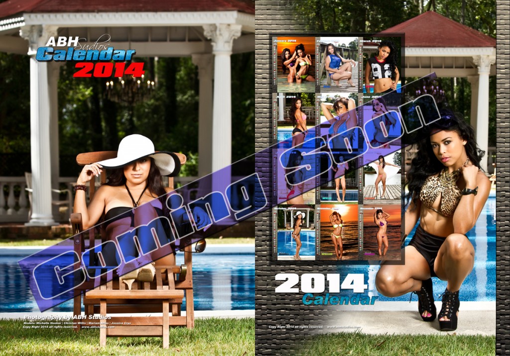 2014 calendar Main 1